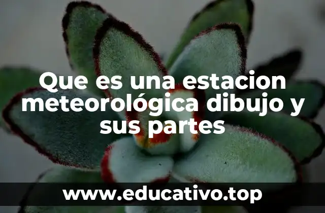 Que es una estacion meteorológica dibujo y sus partes