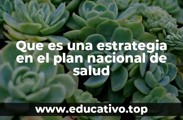 Que es una estrategia en el plan nacional de salud