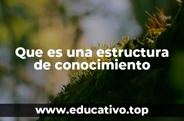 Que es una estructura de conocimiento