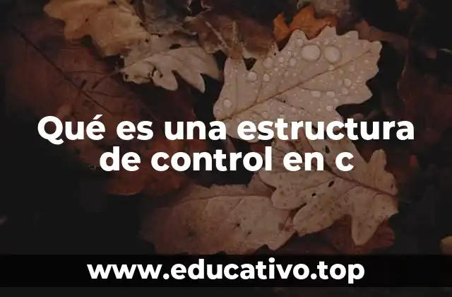 Qué es una estructura de control en c
