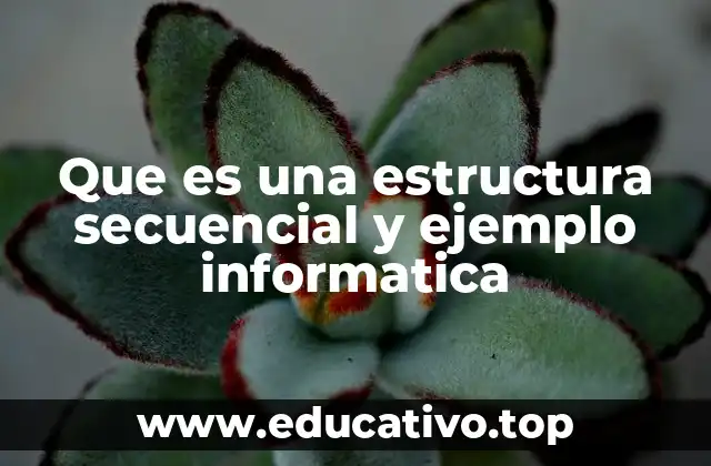 Características de la estructura secuencial en programación