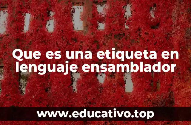 El papel de las etiquetas en el flujo de ejecución