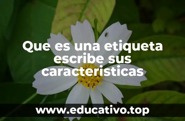 El papel de las etiquetas en la estructura digital