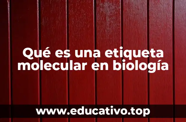 Qué es una etiqueta molecular en biología