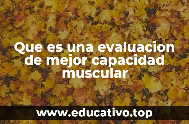 Importancia de medir la fuerza muscular en la vida diaria