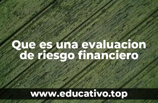 Que es una evaluacion de riesgo financiero