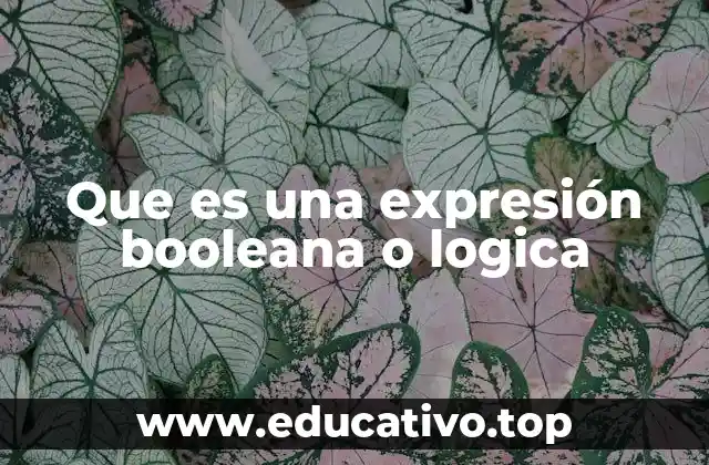 Que es una expresión booleana o logica