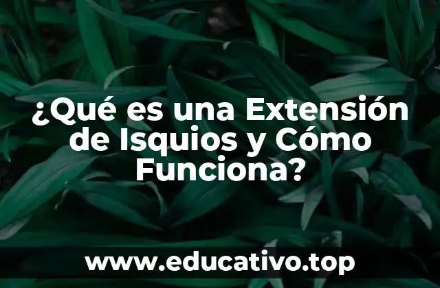 ¿Qué es una Extensión de Isquios y Cómo Funciona?
