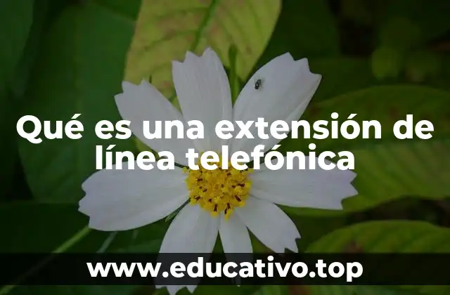 Qué es una extensión de línea telefónica