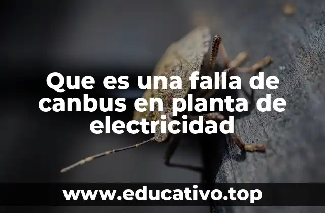 Que es una falla de canbus en planta de electricidad