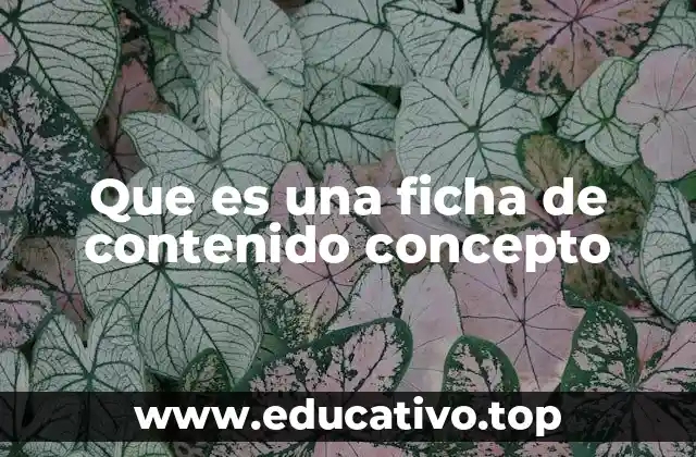 Que es una ficha de contenido concepto