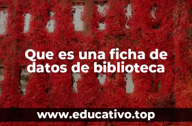 La importancia de las fichas bibliográficas en la gestión de bibliotecas