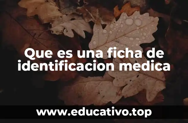 La importancia de un registro médico estructurado