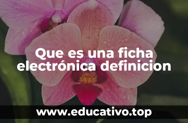 El papel de las fichas electrónicas en la electrónica moderna