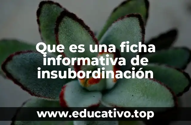 Que es una ficha informativa de insubordinación