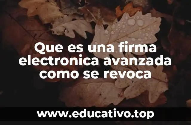 Que es una firma electronica avanzada como se revoca