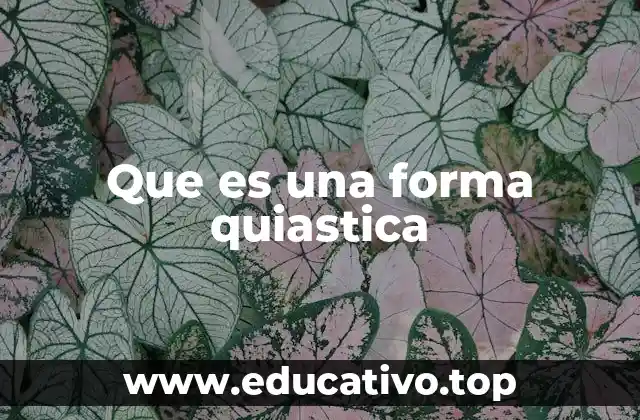 Que es una forma quiastica