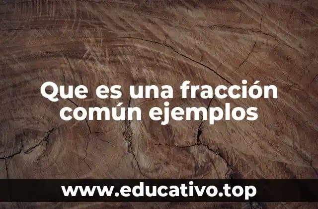 Que es una fracción común ejemplos