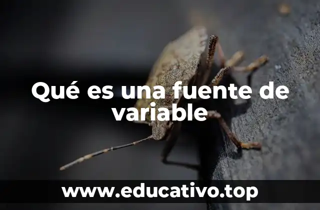 Qué es una fuente de variable