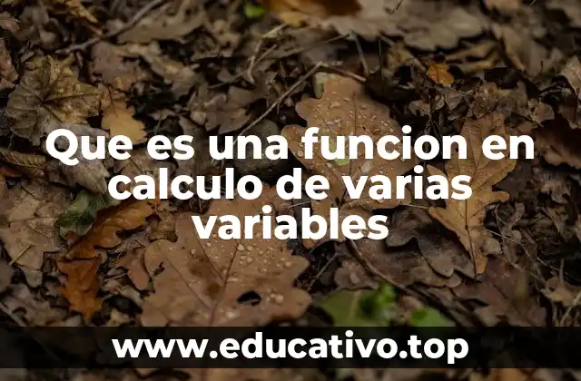 Que es una funcion en calculo de varias variables