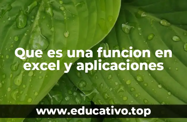 Que es una funcion en excel y aplicaciones