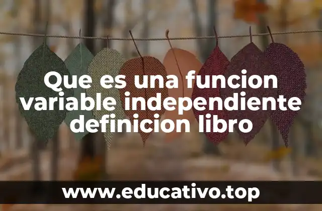 Que es una funcion variable independiente definicion libro