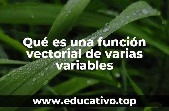 Funciones vectoriales como herramientas para representar trayectorias y campos