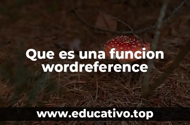 Que es una funcion wordreference