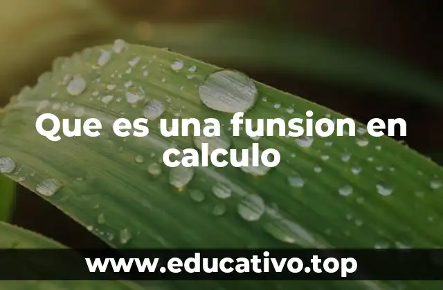 Que es una funsion en calculo
