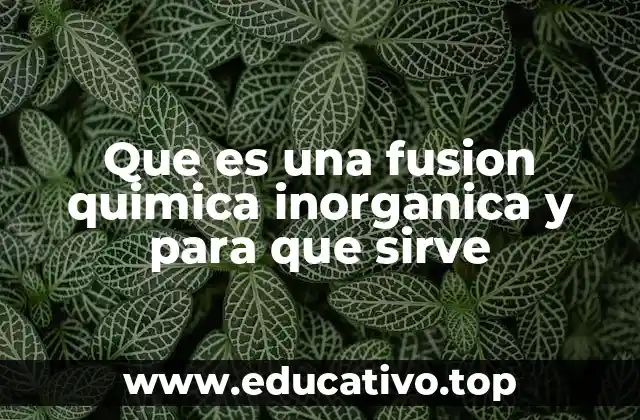 Aplicaciones industriales de la fusión química inorgánica