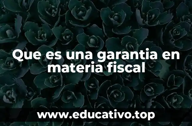Que es una garantia en materia fiscal