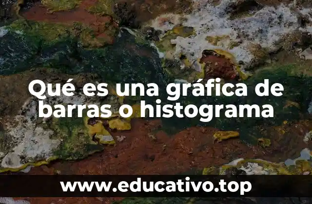 Qué es una gráfica de barras o histograma