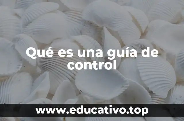 Qué es una guía de control