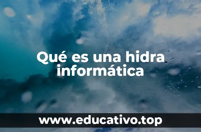 Qué es una hidra informática