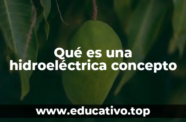 Qué es una hidroeléctrica concepto