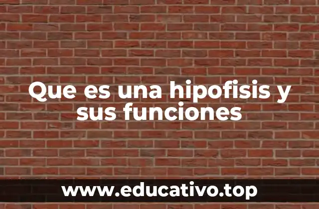 Que es una hipofisis y sus funciones