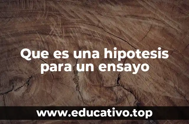 Que es una hipotesis para un ensayo