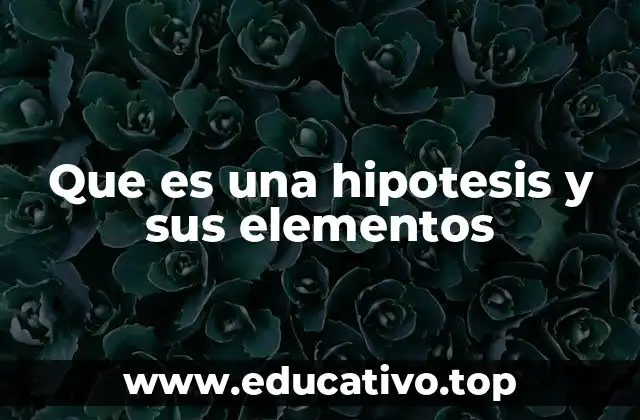 Que es una hipotesis y sus elementos