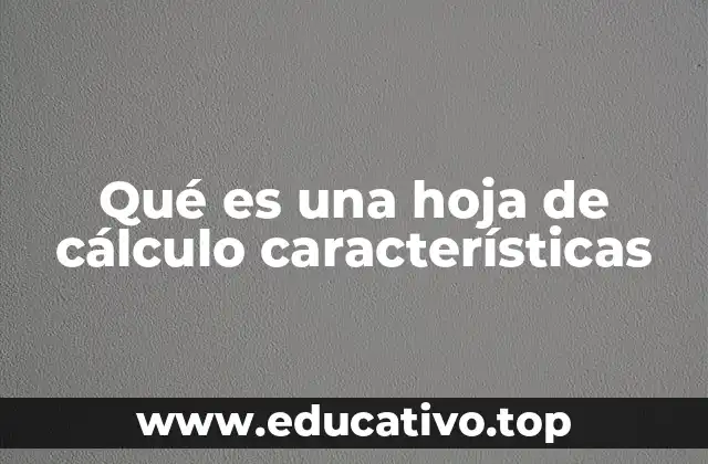 Qué es una hoja de cálculo características