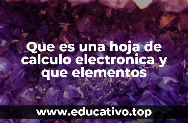 Que es una hoja de calculo electronica y que elementos