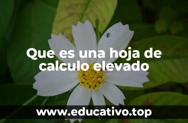 Que es una hoja de calculo elevado