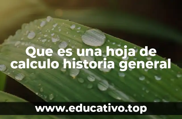 Que es una hoja de calculo historia general