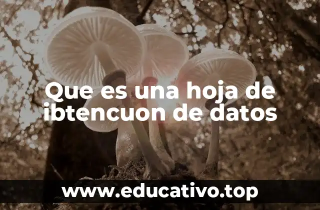 Que es una hoja de ibtencuon de datos