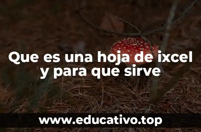 Que es una hoja de ixcel y para que sirve
