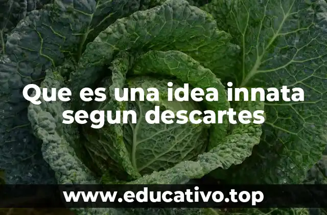 Que es una idea innata segun descartes