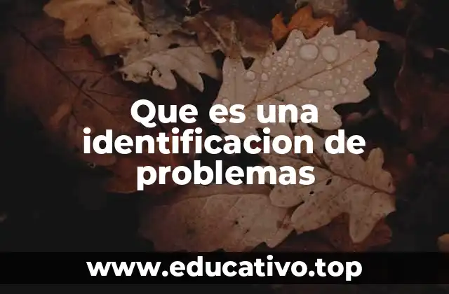 Que es una identificacion de problemas