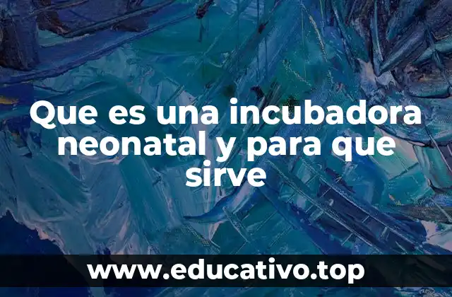 El entorno controlado que ofrecen las incubadoras neonatales