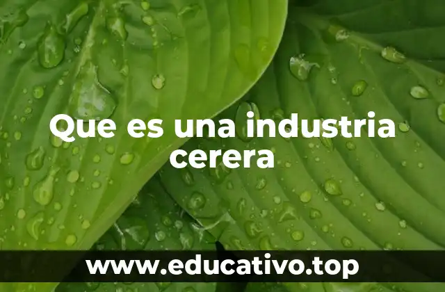 Que es una industria cerera