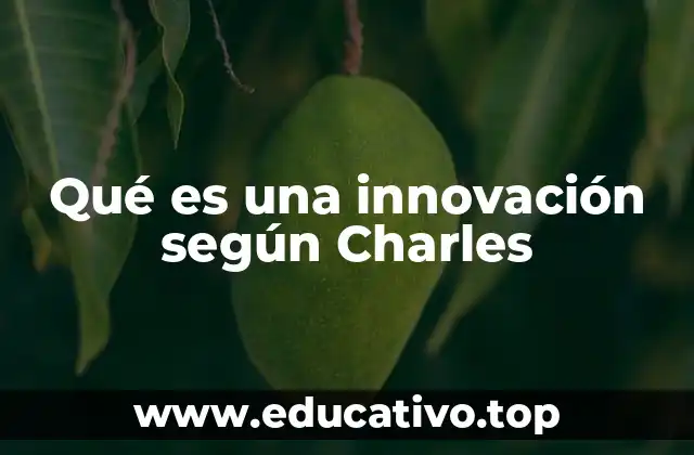 La visión de Charles sobre el progreso tecnológico