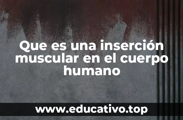 El papel de las inserciones en el movimiento corporal